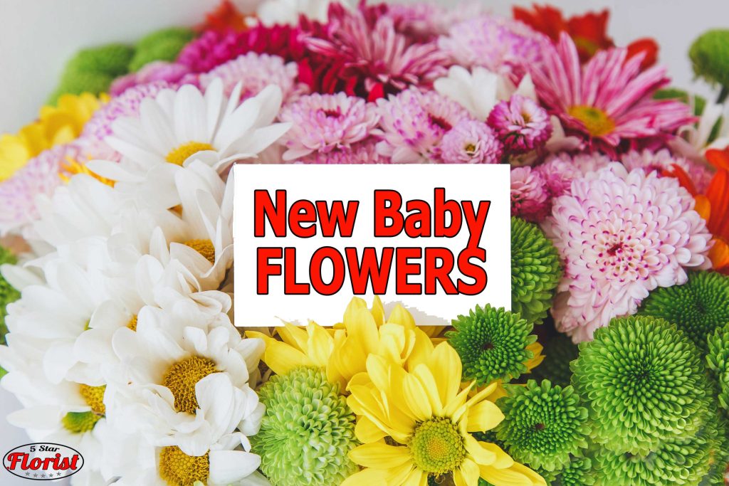 new baby flowers Ocala